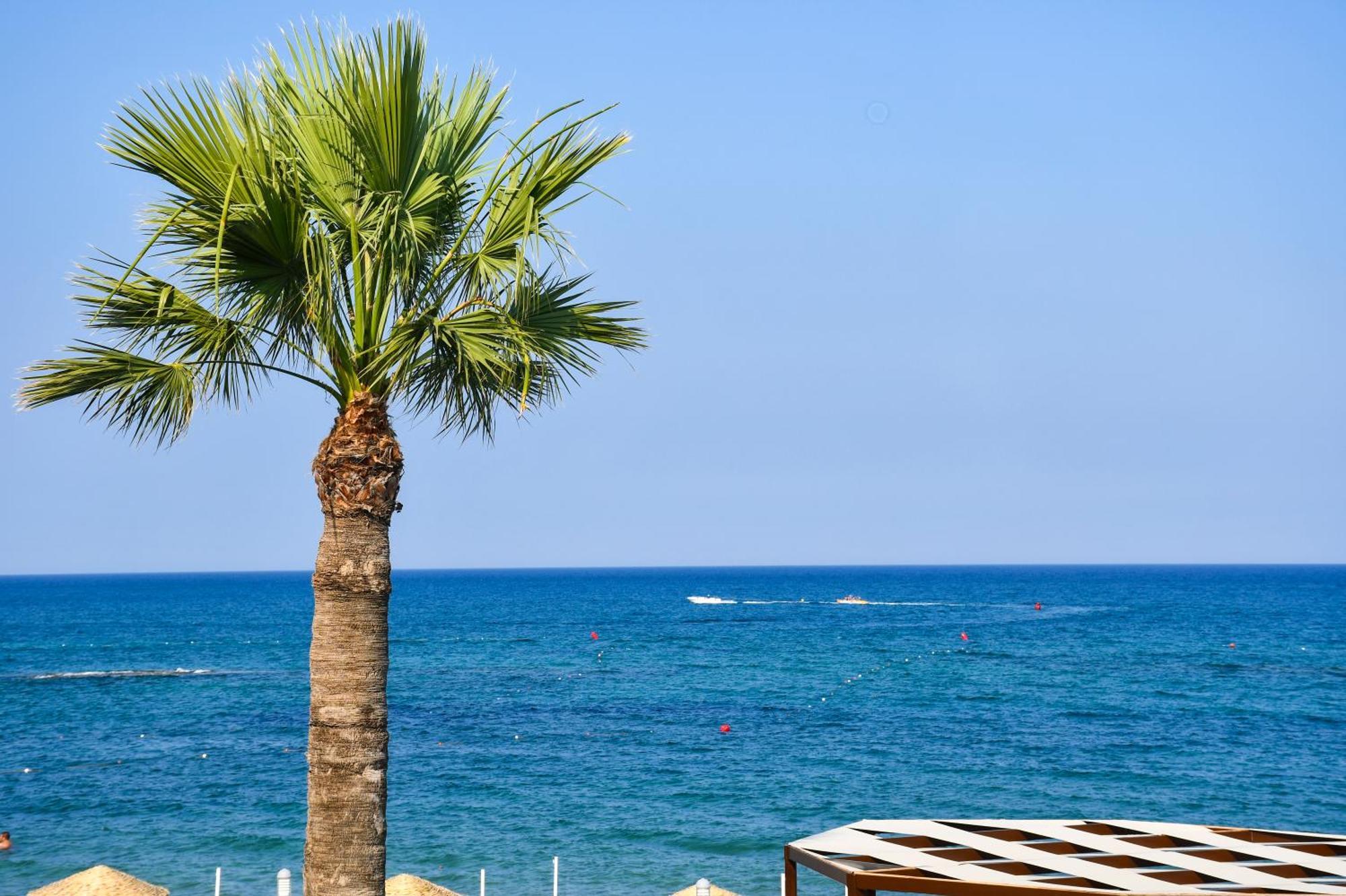 Mimoza Beach Hotel Agios Sergios Exterior foto